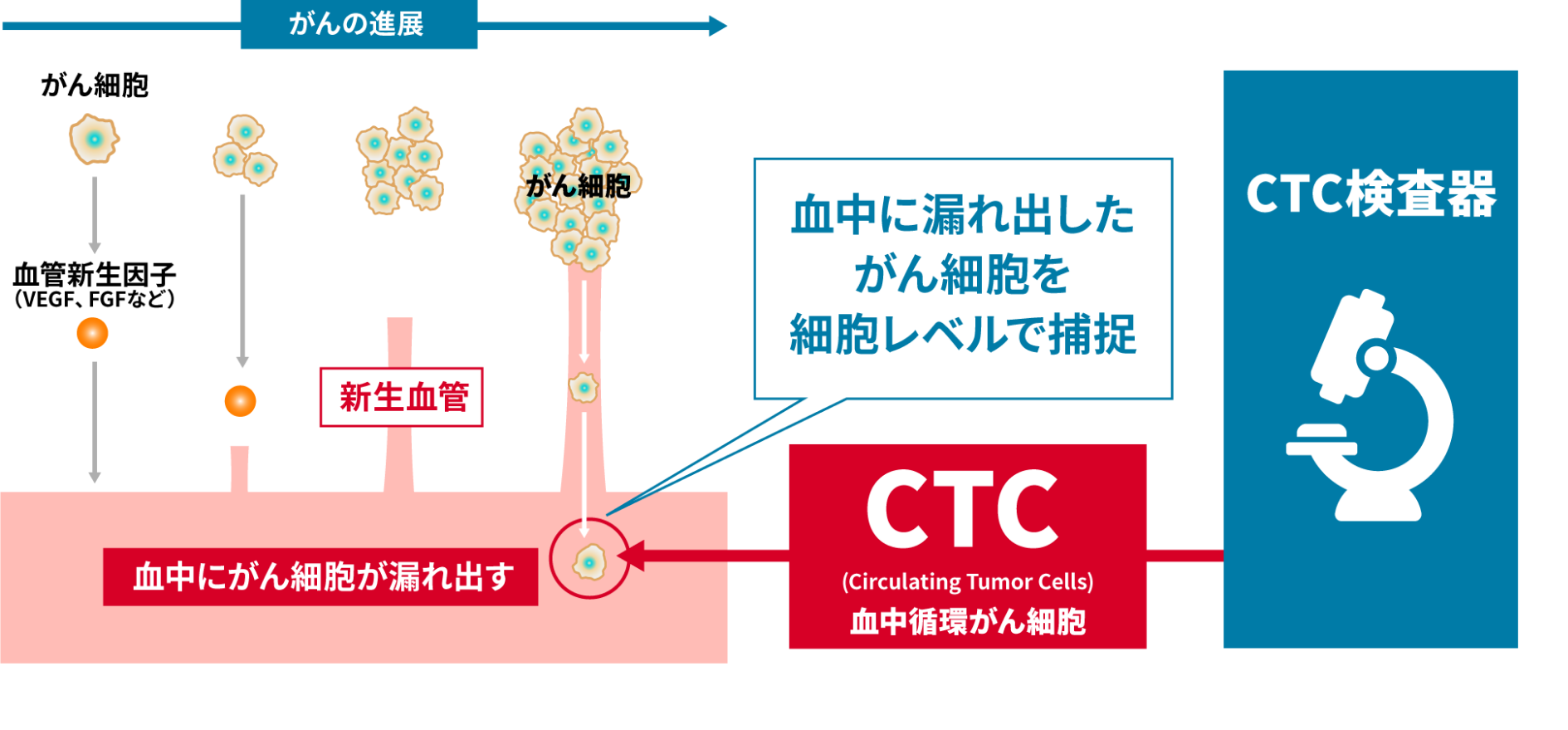 血中に漏れ出したがん細胞を細胞レベルで捕捉