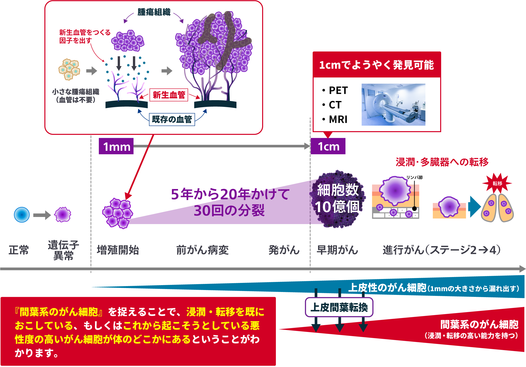 1cm未満の大きさでも全身のがんリスクをチェックできる