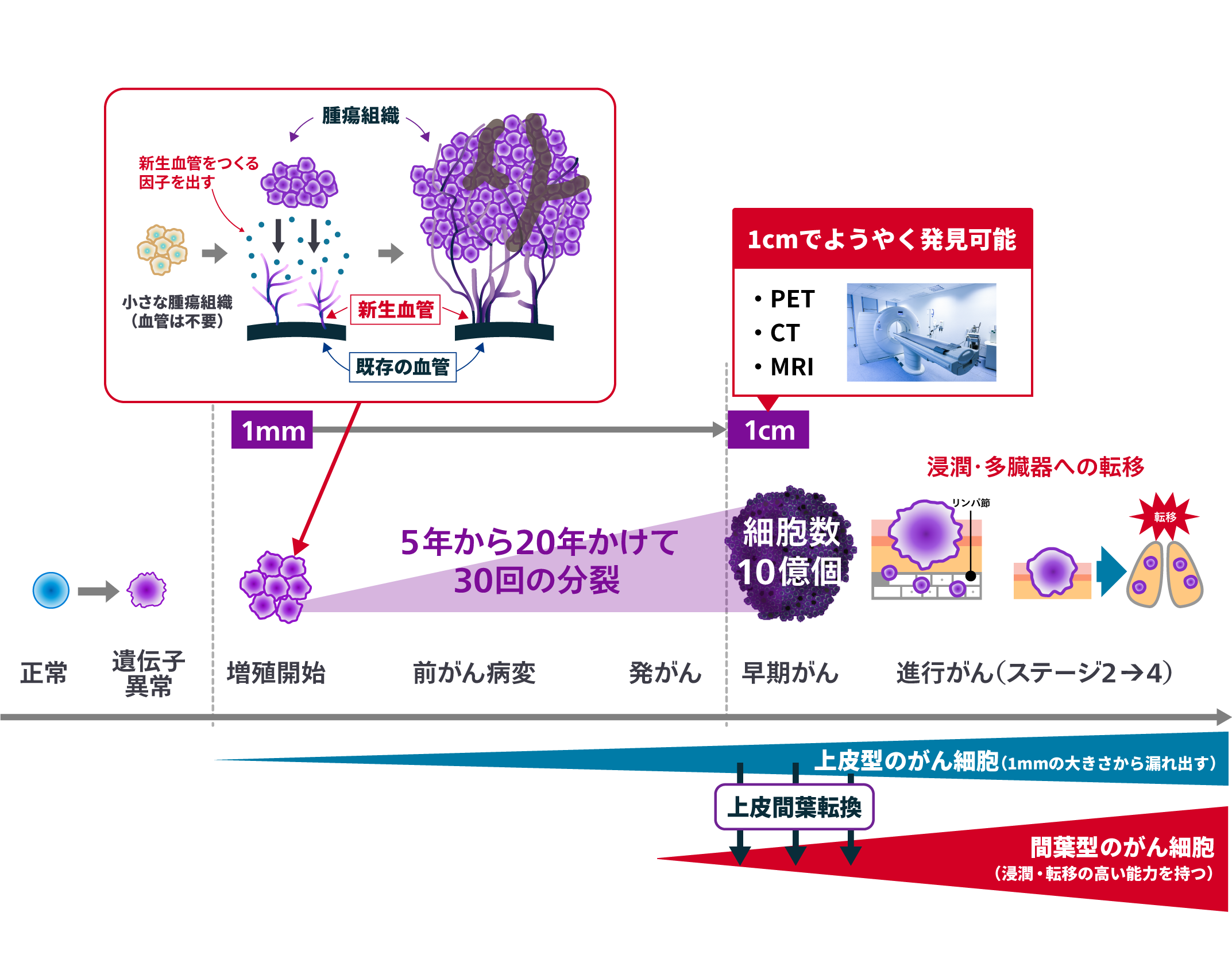 1cm未満の大きさでも全身のがんリスクをチェックできる